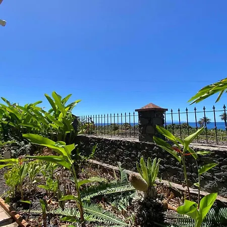 Heliconia 2 Valle Gran Rey